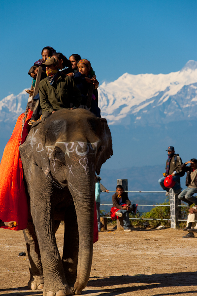 110212_elephant_ride_himalayas