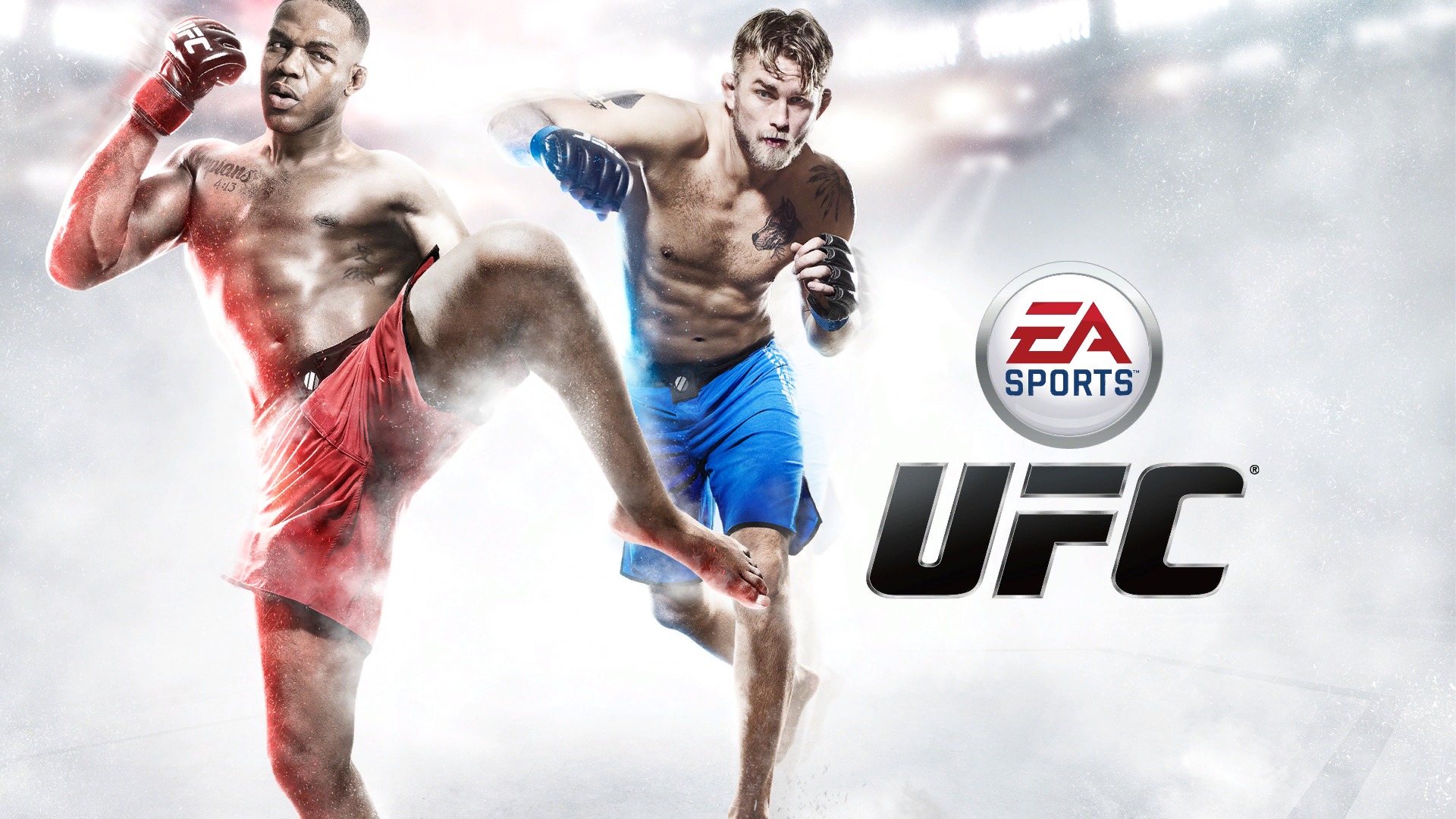 EA SPORTS™ UFC® DEMO_20140606012455
