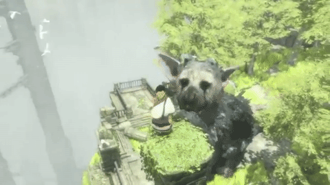 The Last Guardian giphy