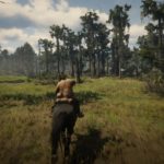 Red Dead Redemption 2_20181017183440