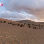 FH5_Biome-Sand_Desert-01-16x9_WM