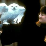 harry-potter-and-the-philosophers-stone-ep-warner-bros