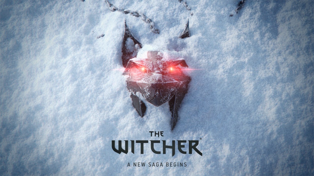 the_witcher_new