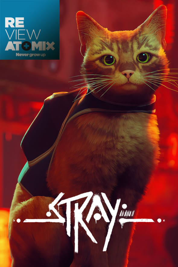 Review Stray